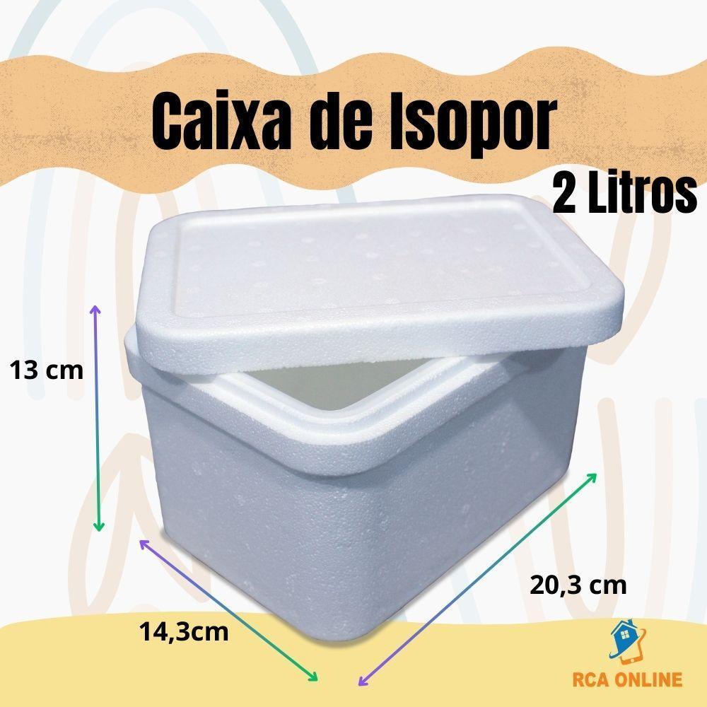 Miniatura Caixas De Isopor Eps 2 Litros Kit 5 Unid Sorvetes E Gelatos