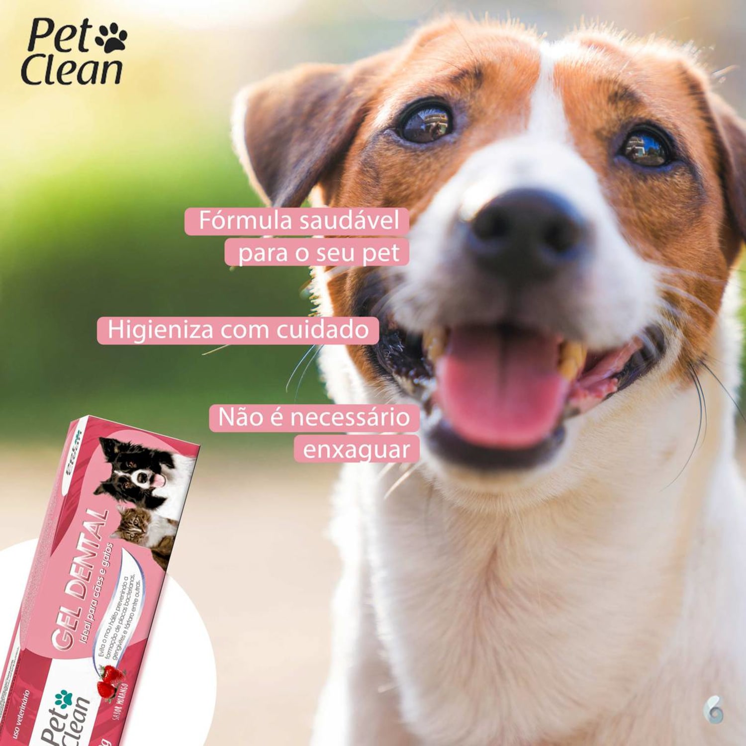 Miniatura Pet Clean Morango - Gel Dental para Cães 60g