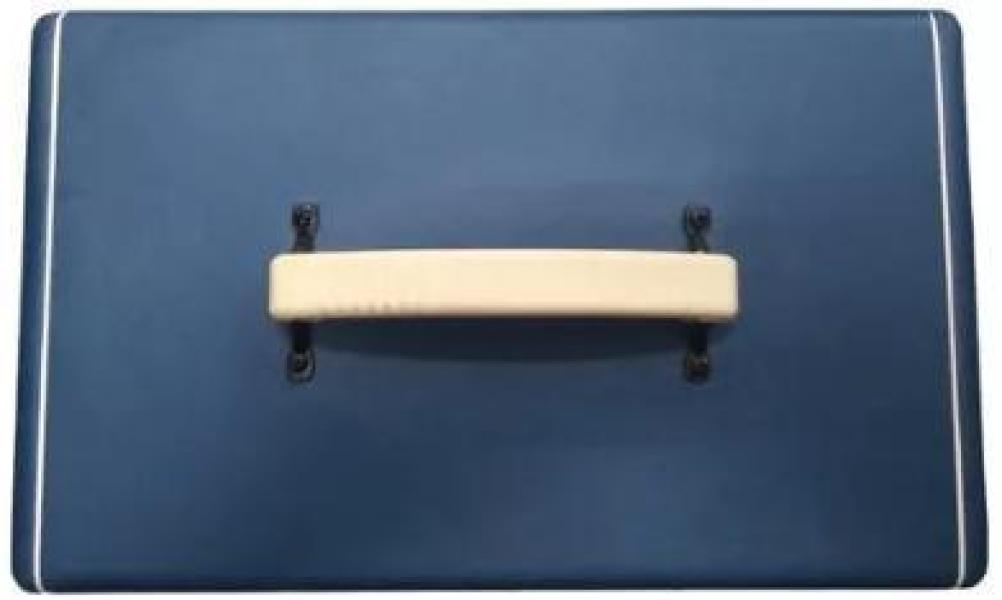 Miniatura Cabeçote Amplificador De Guitarra Borne Vrx 150 110/220 Azul