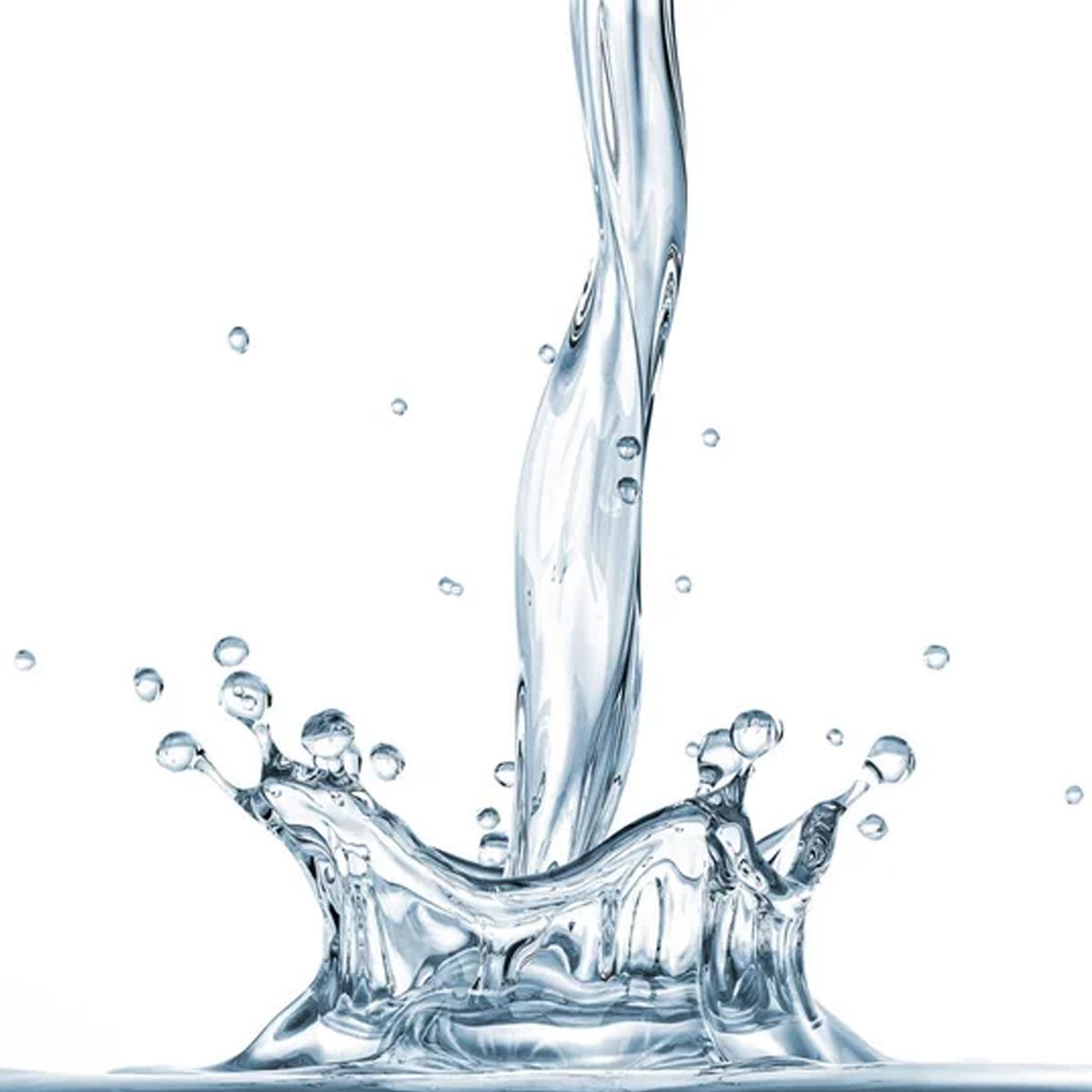 Miniatura Easyfresh Bouquet 1 Litro Kit 3