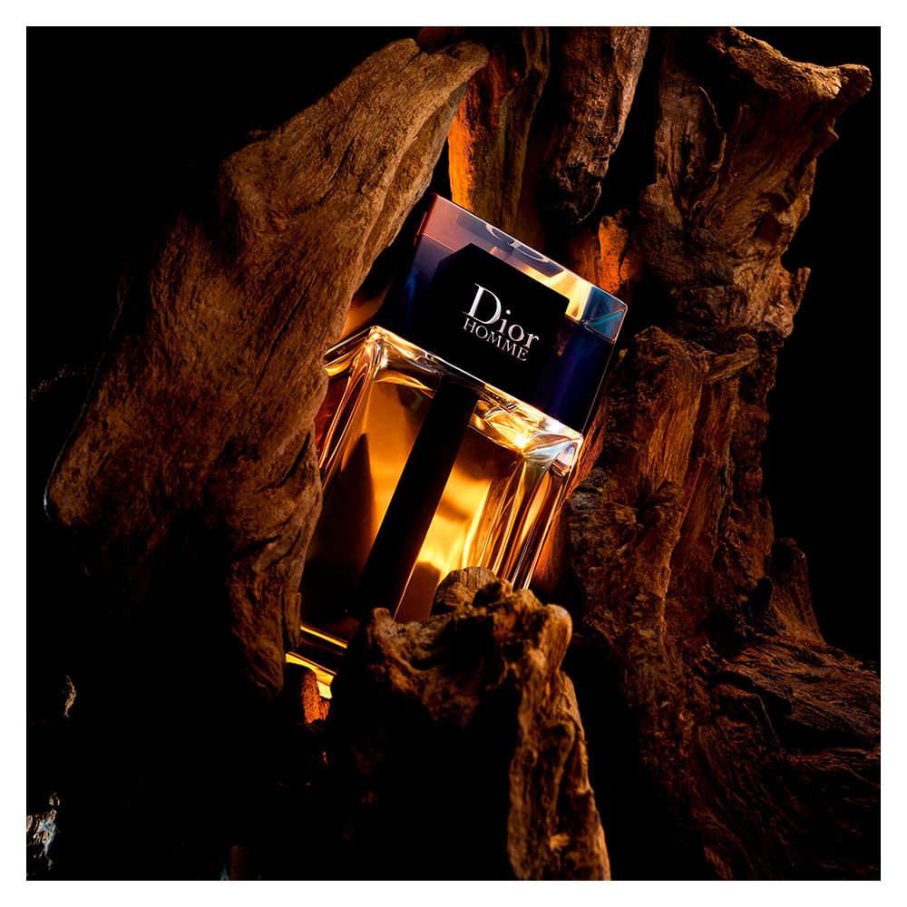 Dior Homme Dior - Perfume Masculino - EDT 100ml