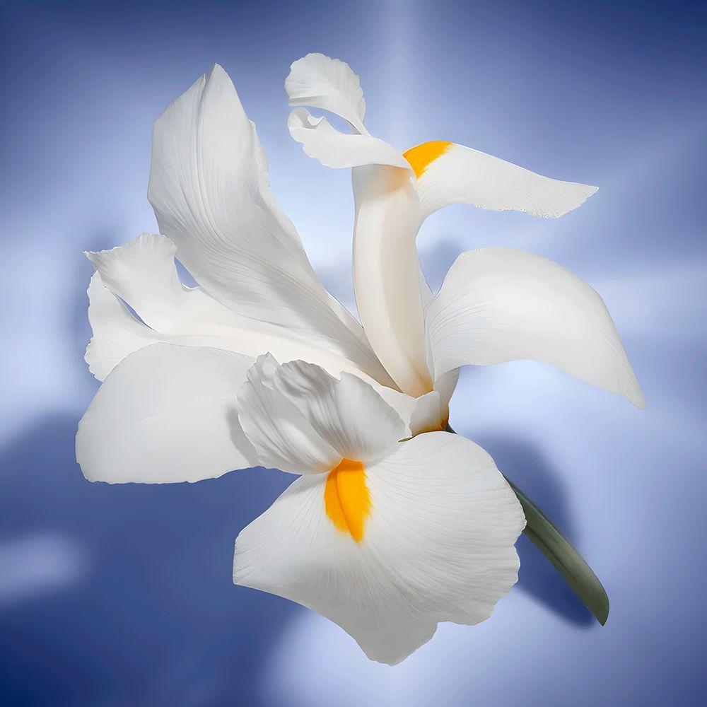 Miniatura Lancôme La Vie Est Belle Eau De Parfum - Perfume Feminino 30ml