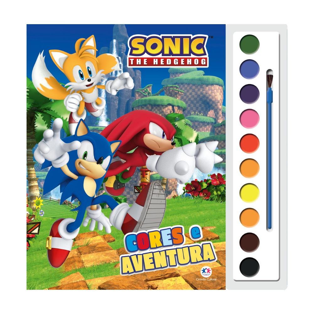 Miniatura Livro Infantil Sonic The Hedgehog Cores e Aventura