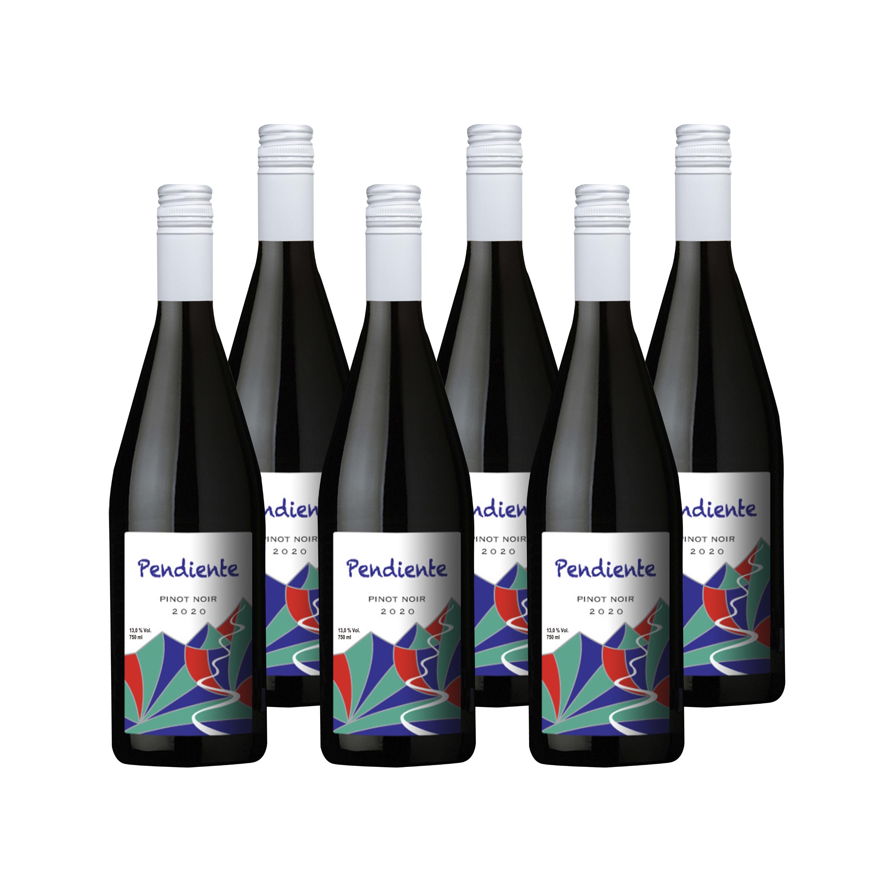 Miniatura Caixa Pendiente Pinot Noir 2020 6un