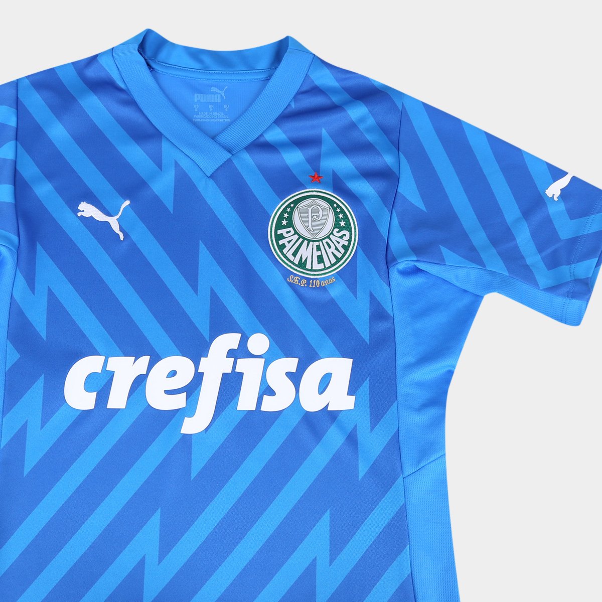 Camisa Palmeiras I 24/25 s/n° Goleiro Puma Feminina Azul - G