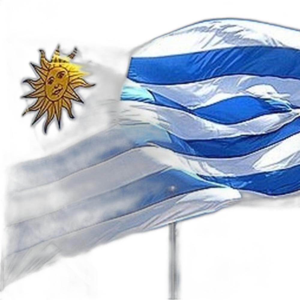 Miniatura Bandeira Do Uruguai 1,50X0,90Mt 100% Poliéster Países Escola