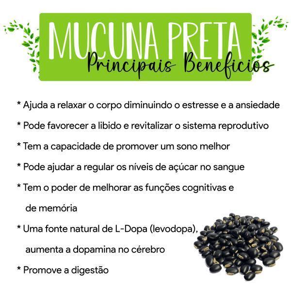Miniatura Mucuna Preta 100% Natural Kit 6 Frascos Cápsulas 500Mg