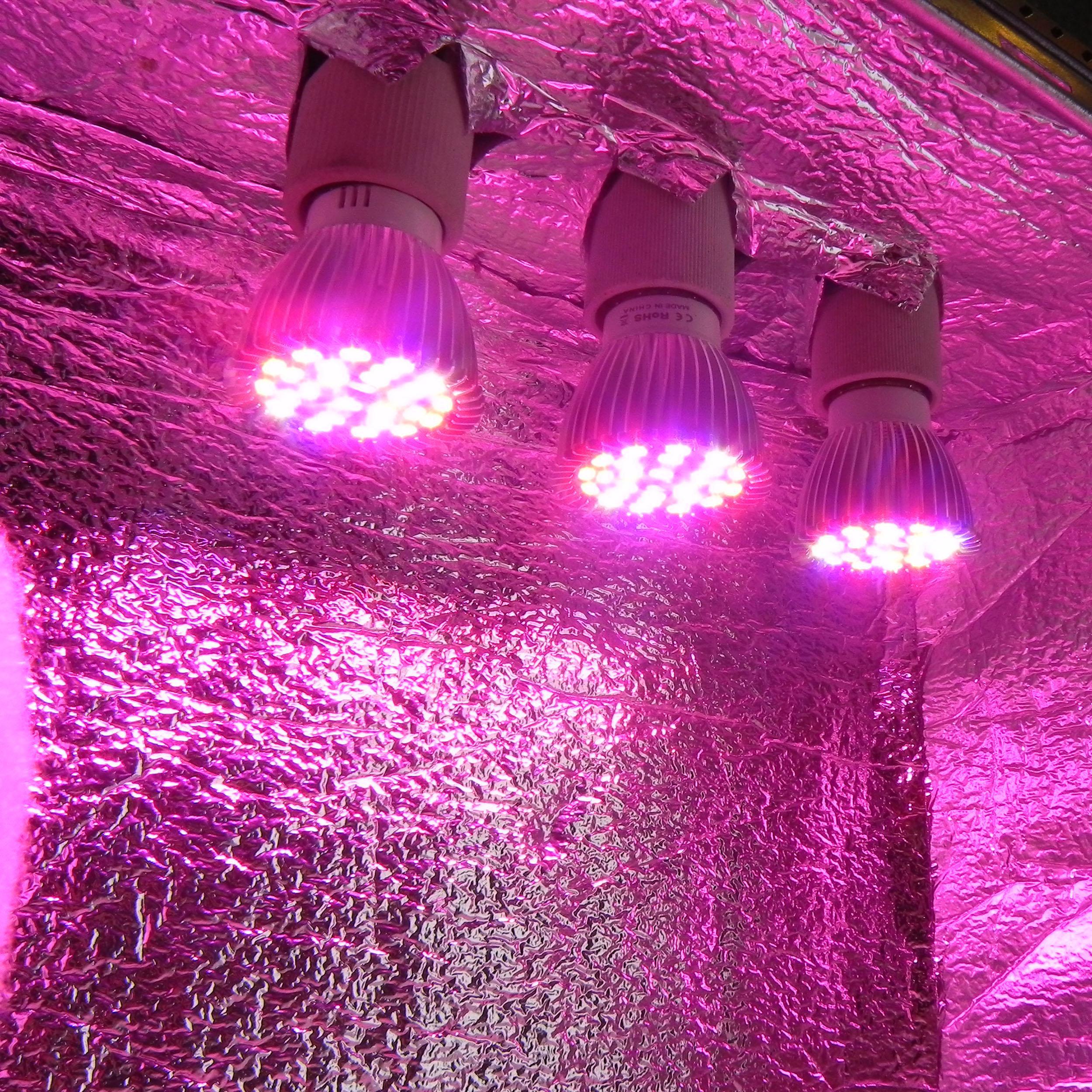 Miniatura Estufa Pc Grow Cultivo Indoor Led Full Spectrum Com Filtro Stealth