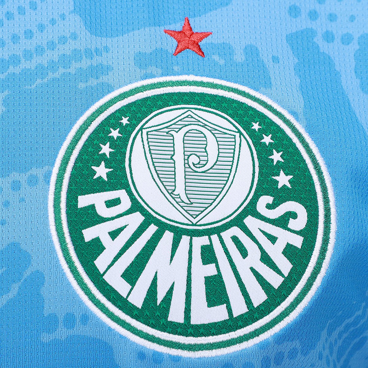Miniatura Camisa de Goleiro Palmeiras I 25/26 s/n Torcedor Puma Masculina Azul - GG