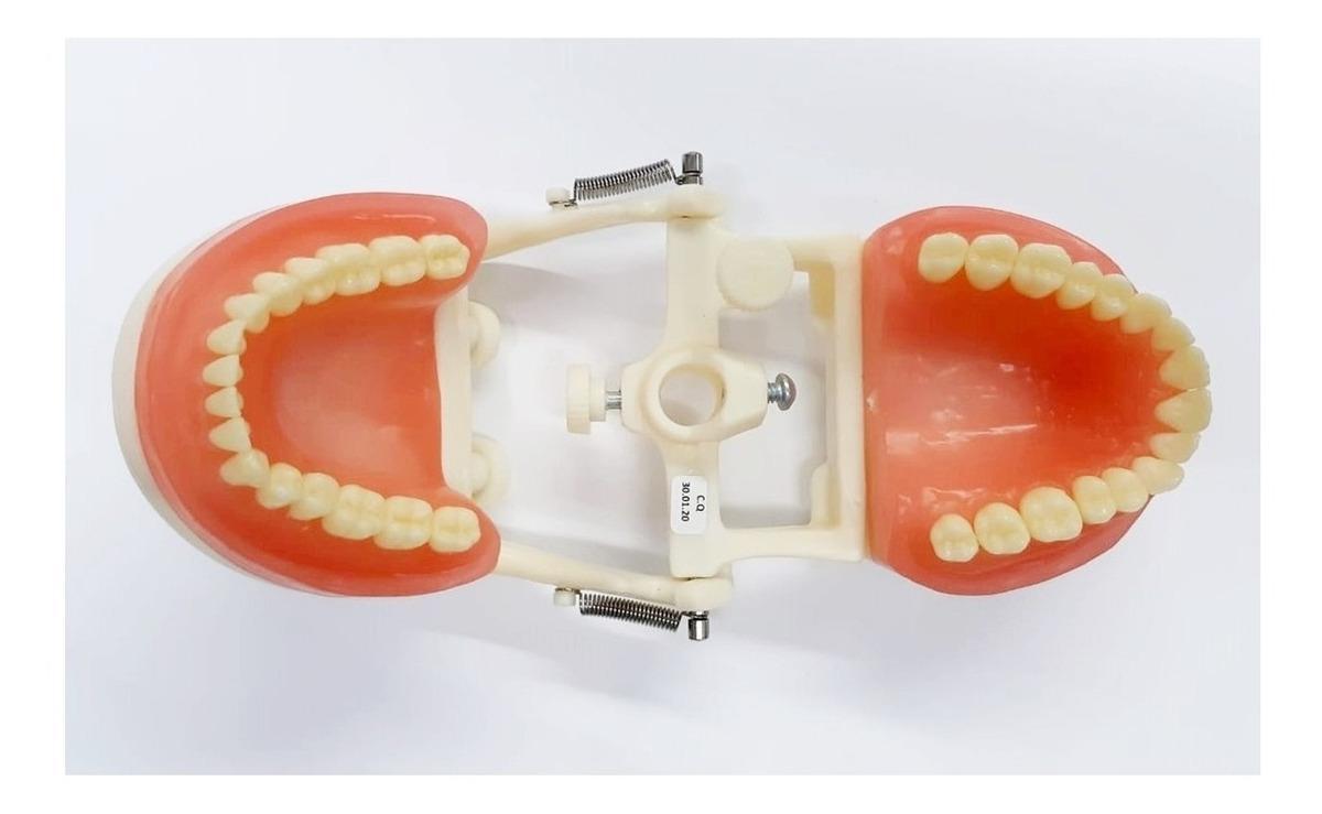 Miniatura Manequim Articulado Universal Top Dentística Pd100 - Pronew Manequim - Pronew