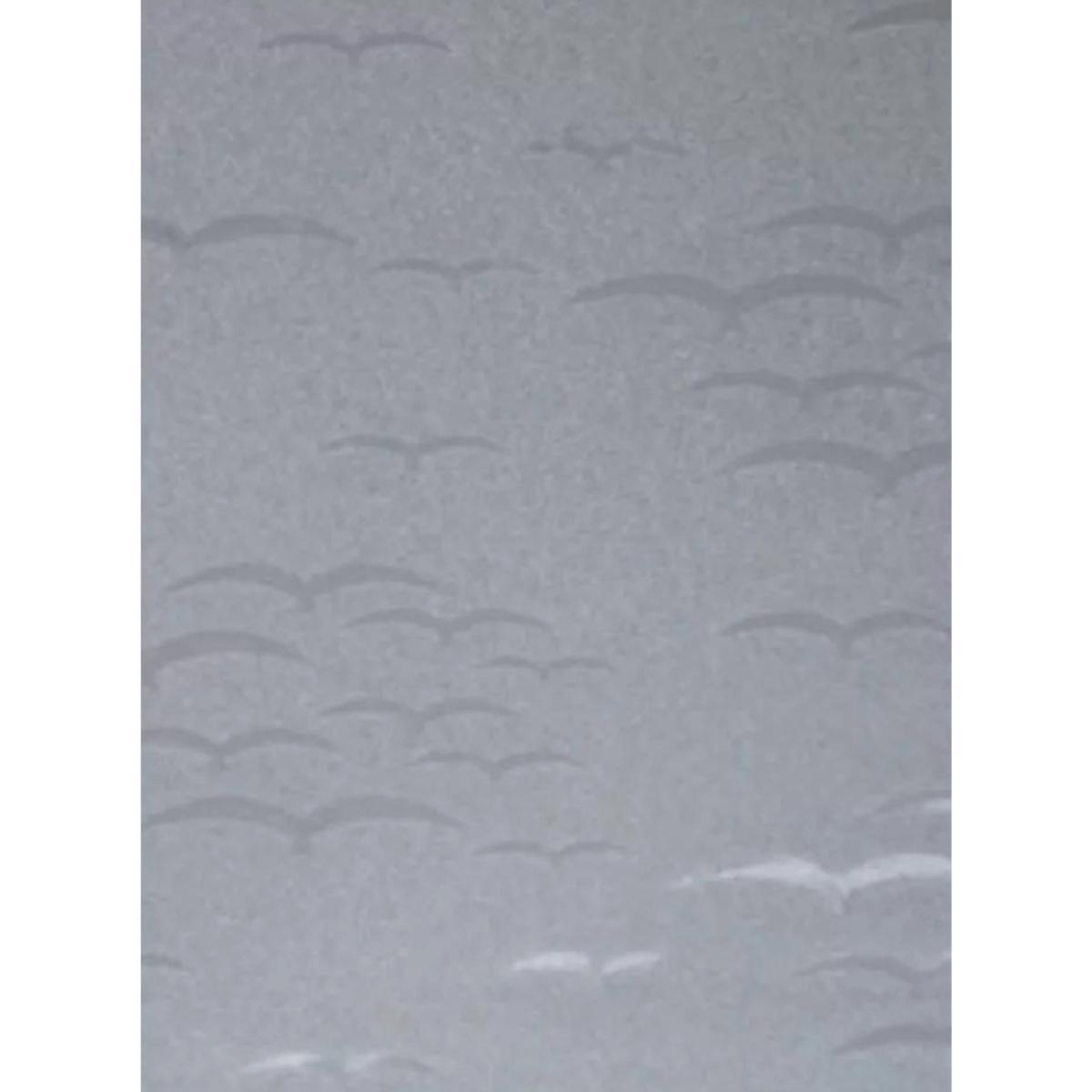 Miniatura Chapa De Acrílico Para Box E Gabinetes 90X98 Revoada Incolor