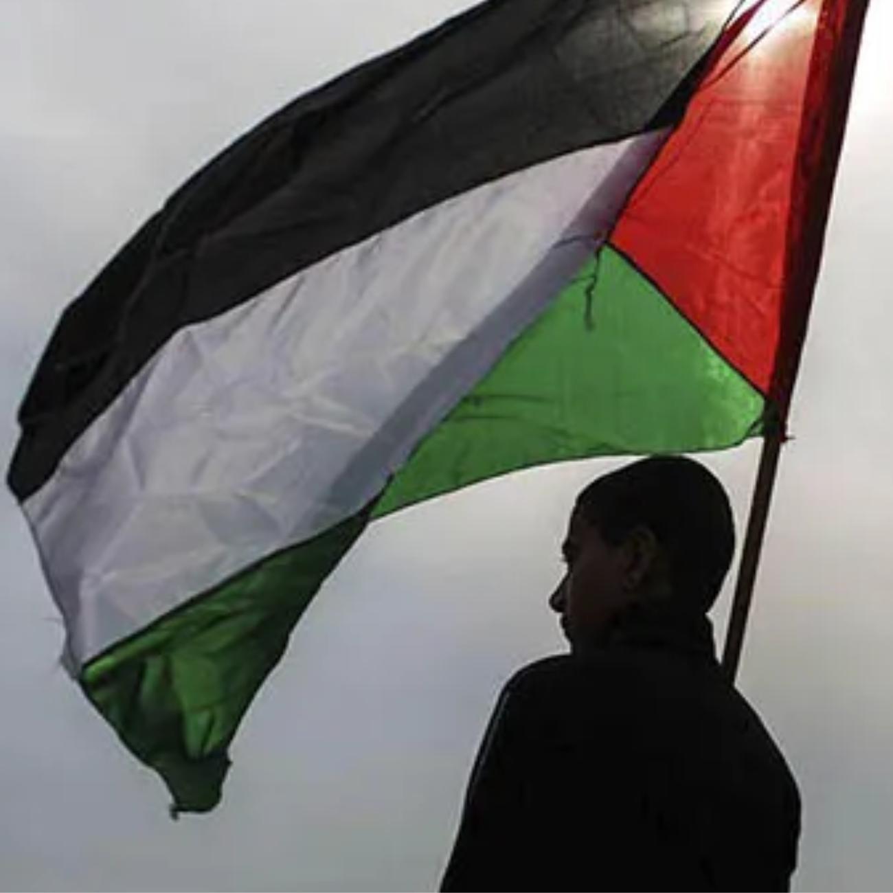Bandeira Palestina 1,5m x 0,90cm Poliéster Acetinado