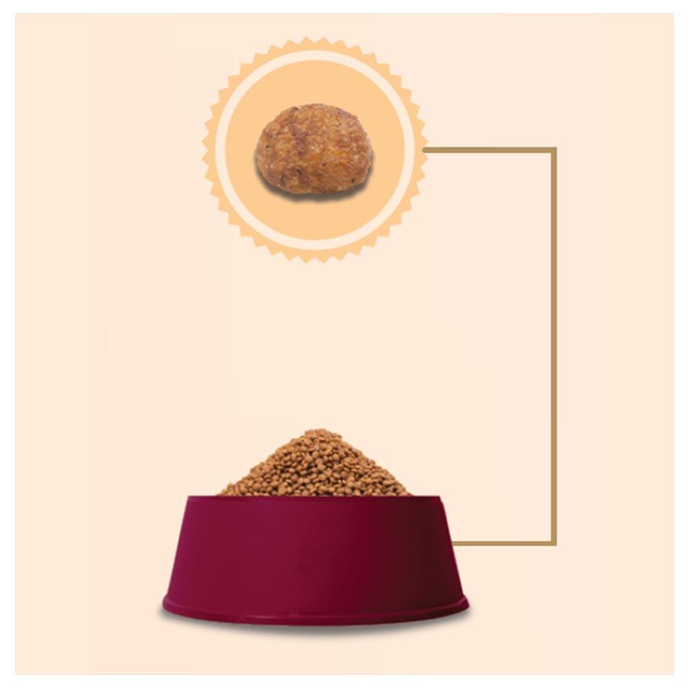 Miniatura Ração GranPlus Frango e Arroz para Gatos Filhotes - 10,1 Kg