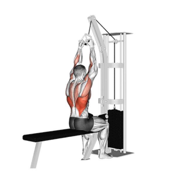 Miniatura Puxador Triangulo Remada Cavalinho Musculação Be Stronger