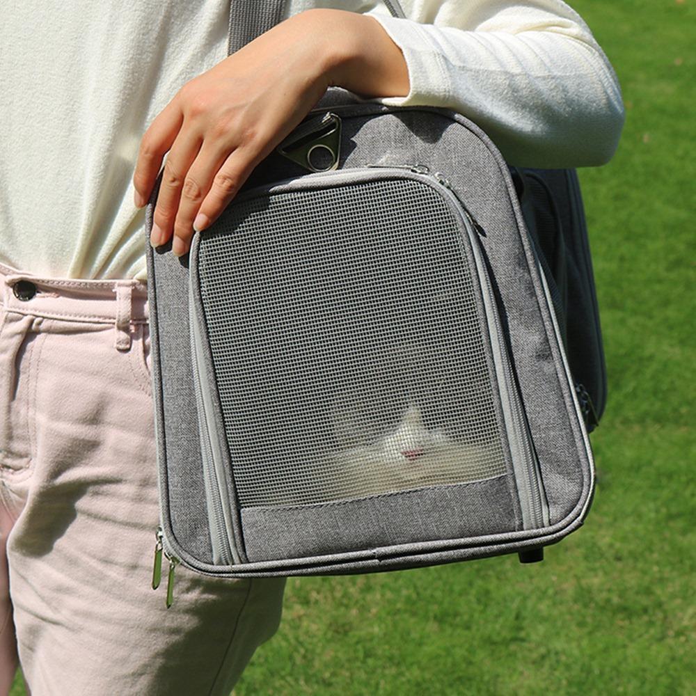 Bolsa De Transporte Pet Para Cães E Gatos Avião