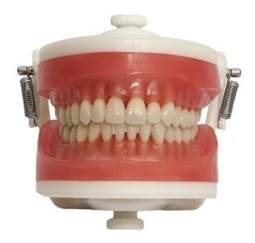 Miniatura Manequim Articulado Universal Top Dentística Pd100 - Pronew Manequim - Pronew