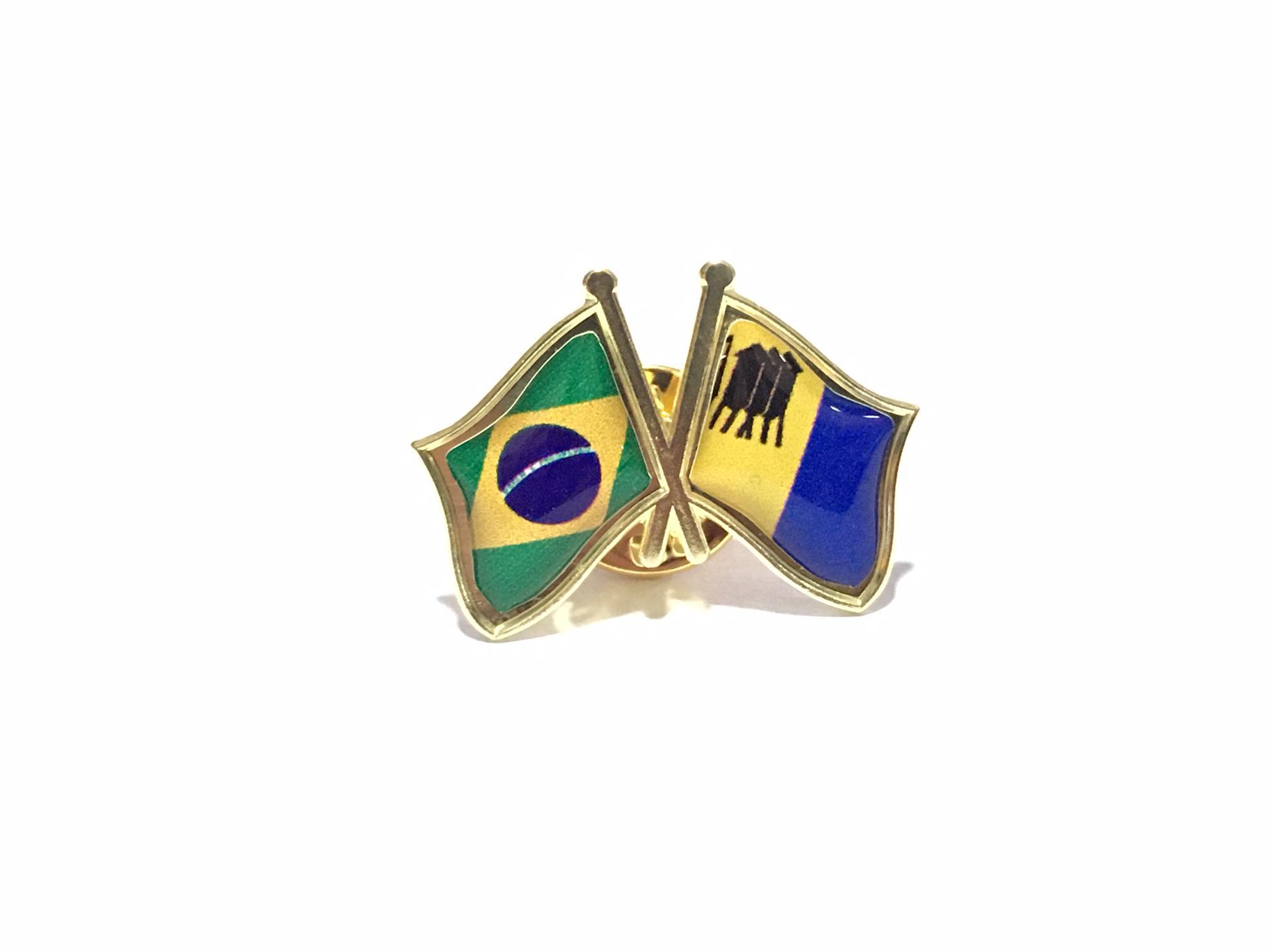 Miniatura Pin Da Bandeira Do Brasil X Porto Velho