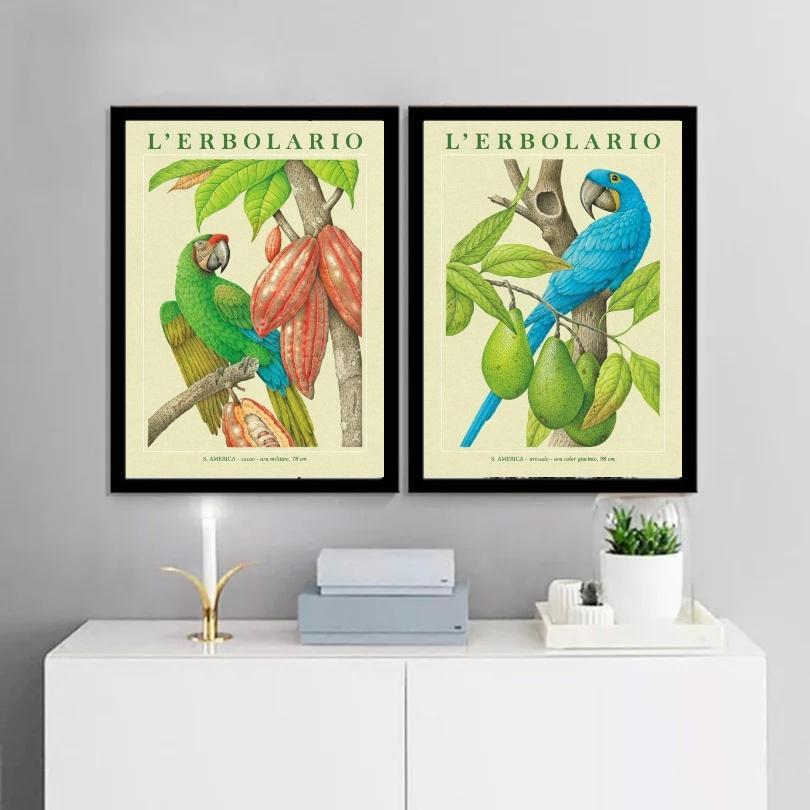 Miniatura Kit 2 Quadros Botânicos Araras Tropicais 45X34Cm - Com Vidro
