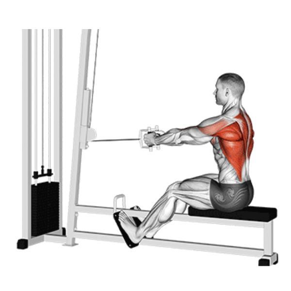 Miniatura Puxador Triangulo Remada Cavalinho Musculação Be Stronger