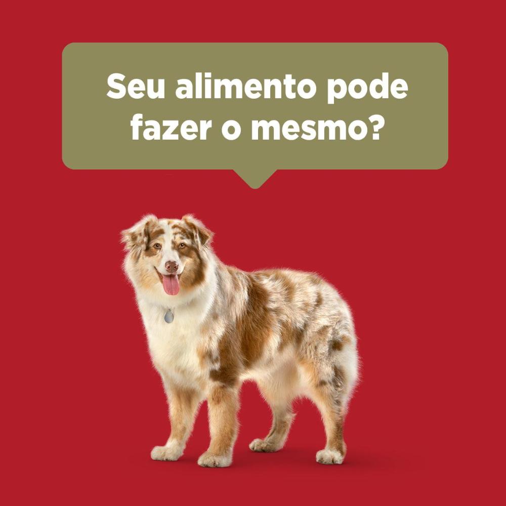 Ração Seca Nestlé Purina One Frango e Carne para Cães Adultos Raças Médias e Grandes - 2 Kg