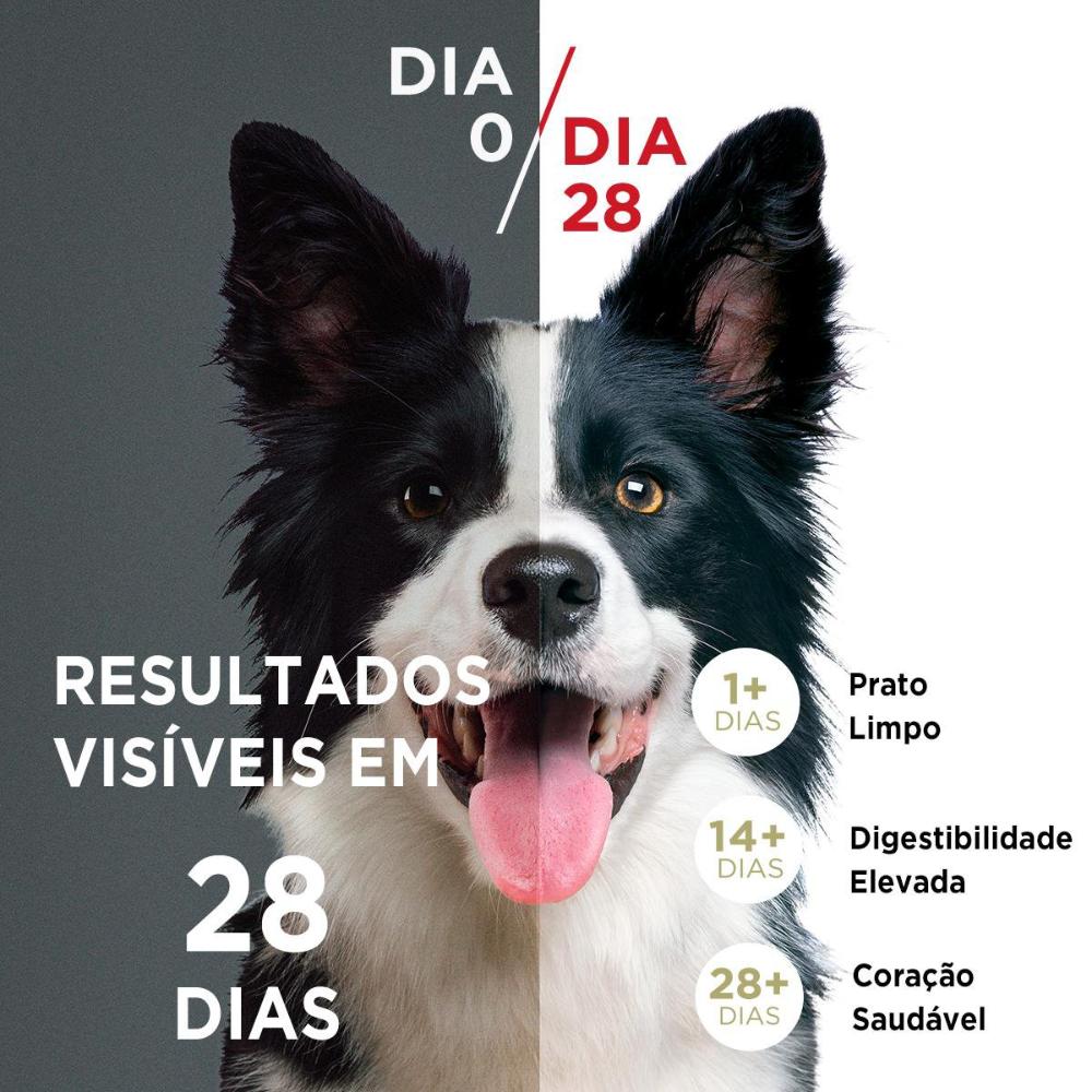 Ração Seca Nestlé Purina One Frango e Carne para Cães Adultos Raças Médias e Grandes - 2 Kg