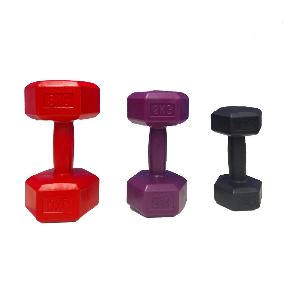 Kit Halteres Plástico 1Kg A 3Kg Suporte Musculação Academia