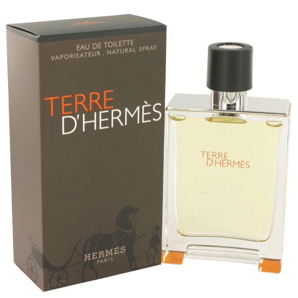 Miniatura Perfume Masculino Terre D'hermes Hermes 100ml
