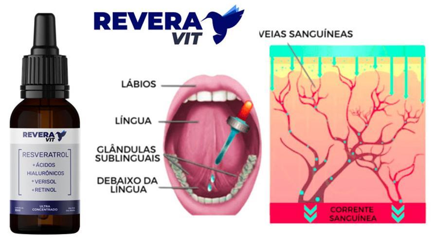 Miniatura Reveravit - Resveratrol - Ácido Hialurônico Verisol Retinol