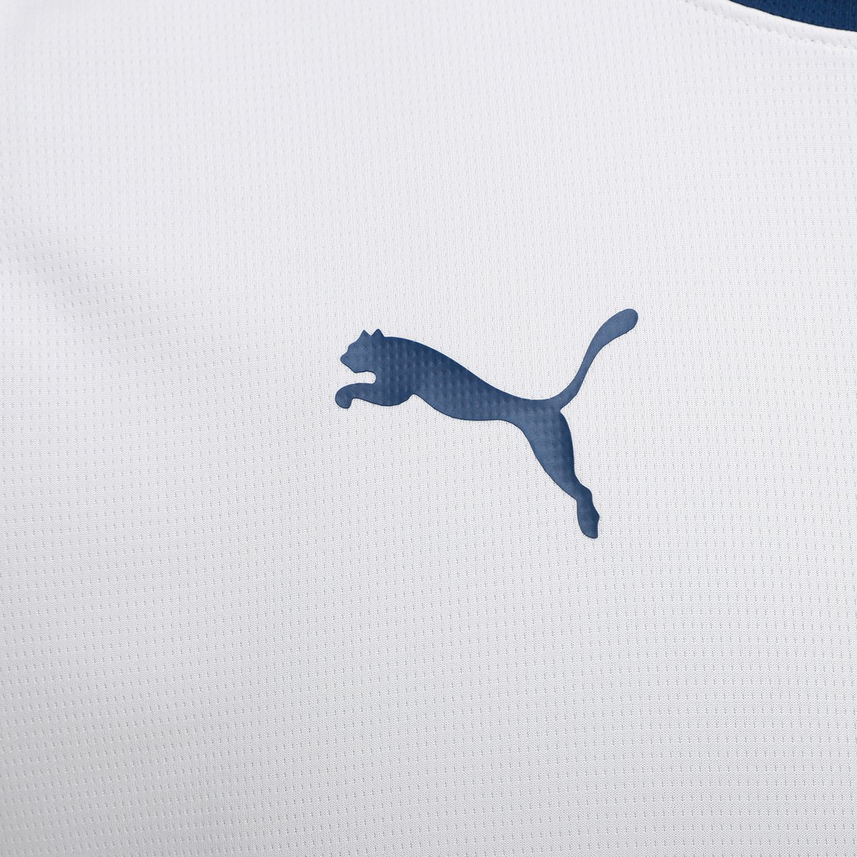 Miniatura Camisa Seleção Portugal Treino 25/26 s/n Torcedor Puma Masculina Bege - EGG