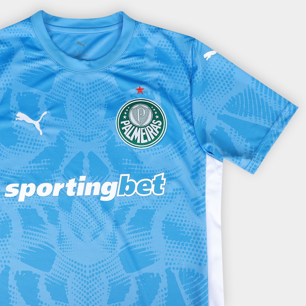 Camisa de Goleiro Palmeiras I 25/26 s/n Torcedor Puma Masculina Azul - GG