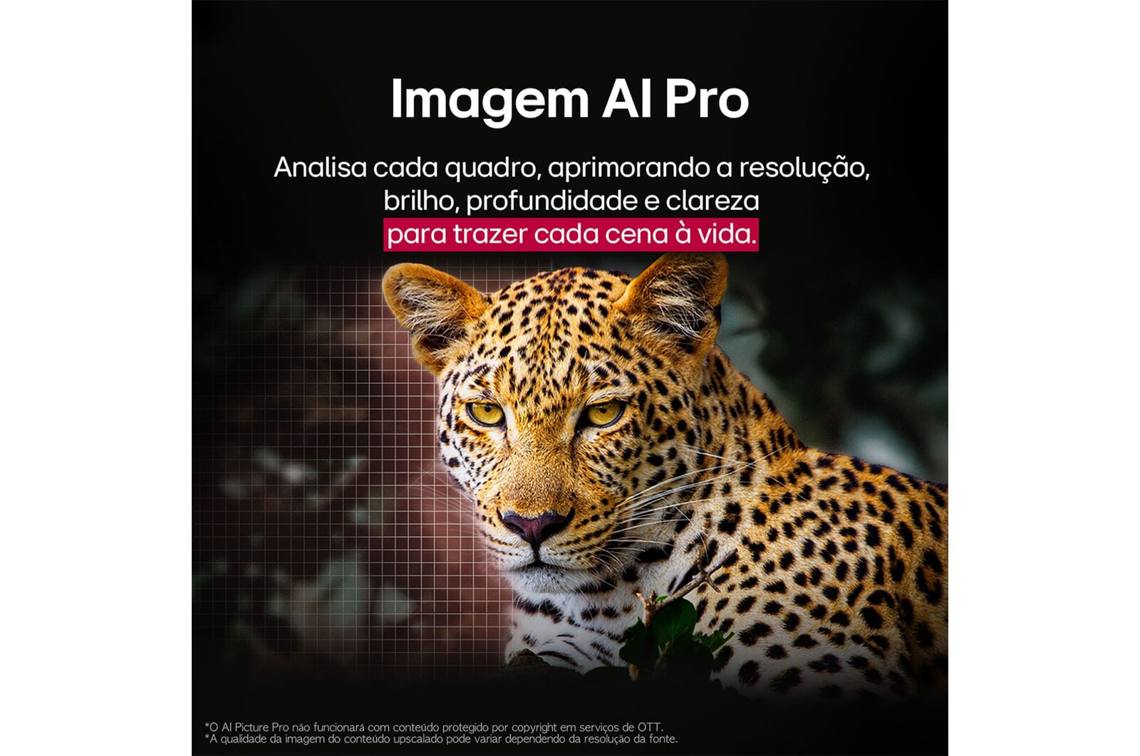 Smart TV LG OLED evo AI C5 48 Polegadas (OLED48C5PSA): brilho incomparável e imagem perfeita em 4K 12 meses - 48 " - 110v/220v