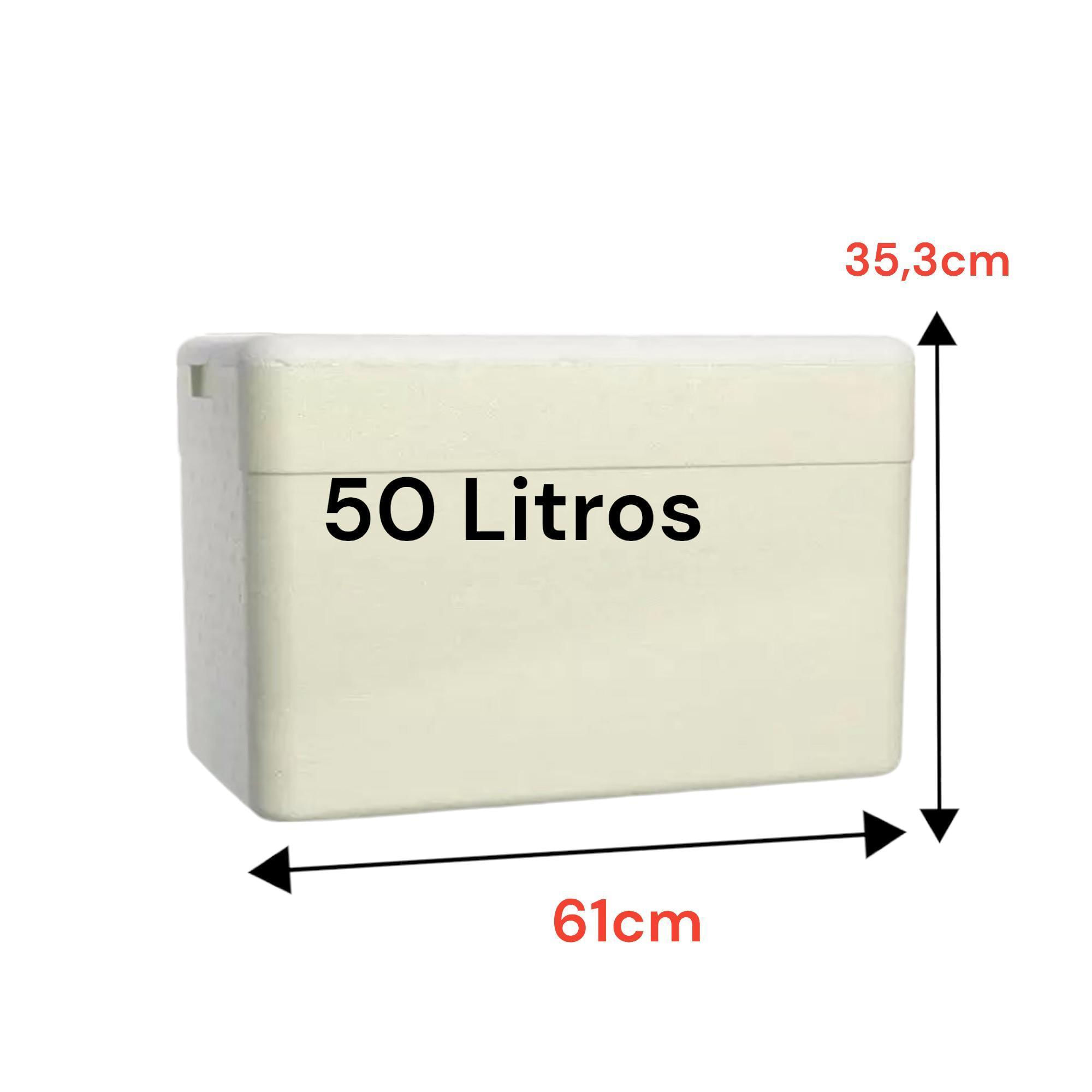 Miniatura Caixa Térmica Grande Isopor 50 Litros Cerveja Refrigerante