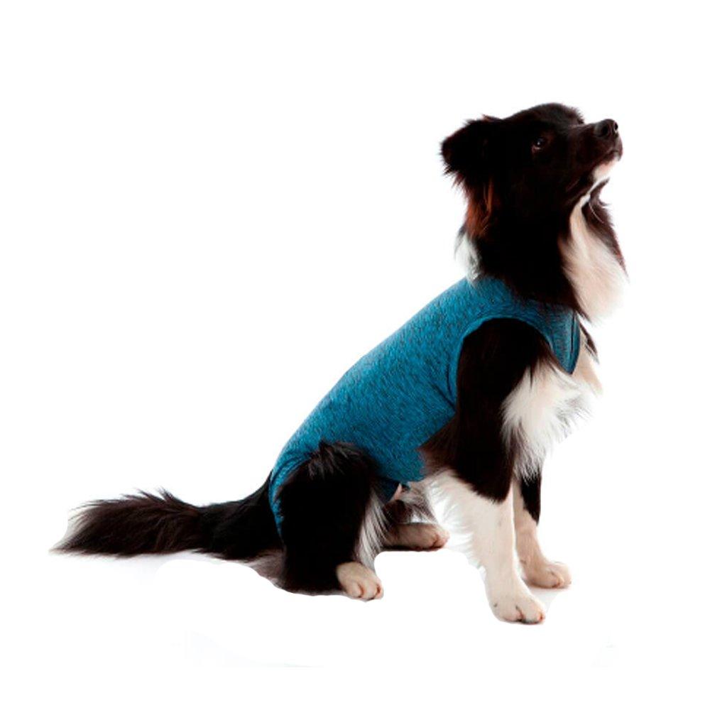 Miniatura Roupa Pós Castração Pet Med Duo Dry Azul para Cães Macho - Tam. 14