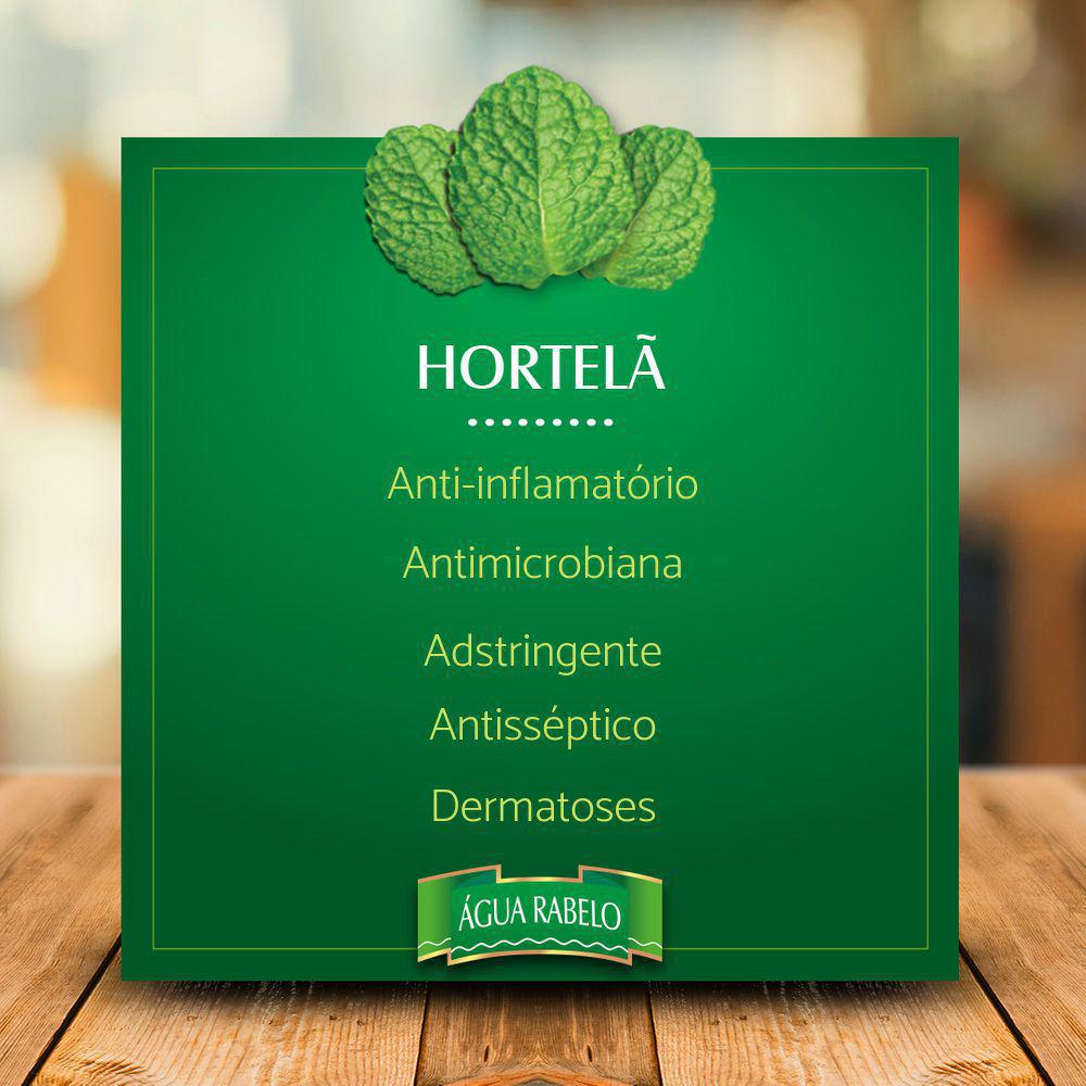 Miniatura Água Rabelo Tradicional Com Romã Kit 4 Uni. 500Ml Fitoterápico - Saúde - Kit - Cicatrizante - Água rabelo - Romã - 4 unidades