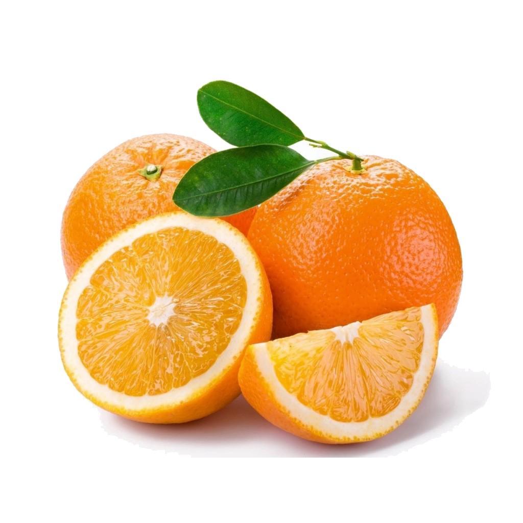 Miniatura Espremedor Suco Laranja Limão Pilão Socador Alho Alumínio