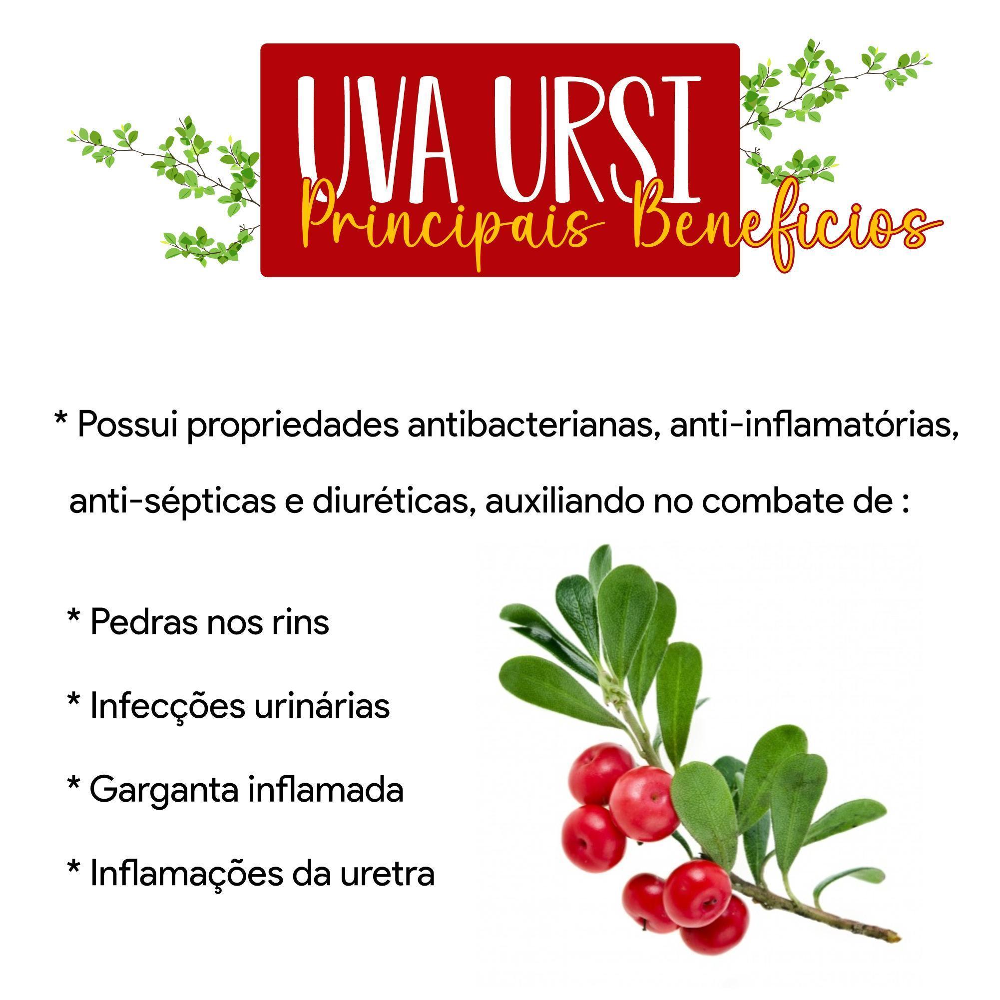 Miniatura Suplemento Natural Uva Ursi 500mg - Combate Cistite - 1 Pote