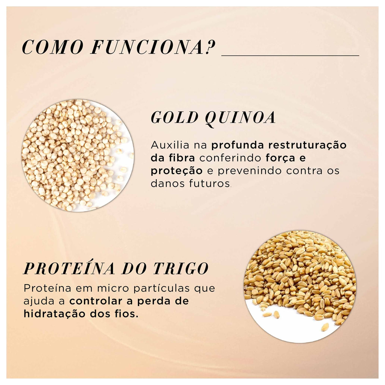 Miniatura Kit L'Oréal Professionnel Serie Expert Absolut Repair Gold Quinoa + Protein Golden Salon Trio (3 Produtos)