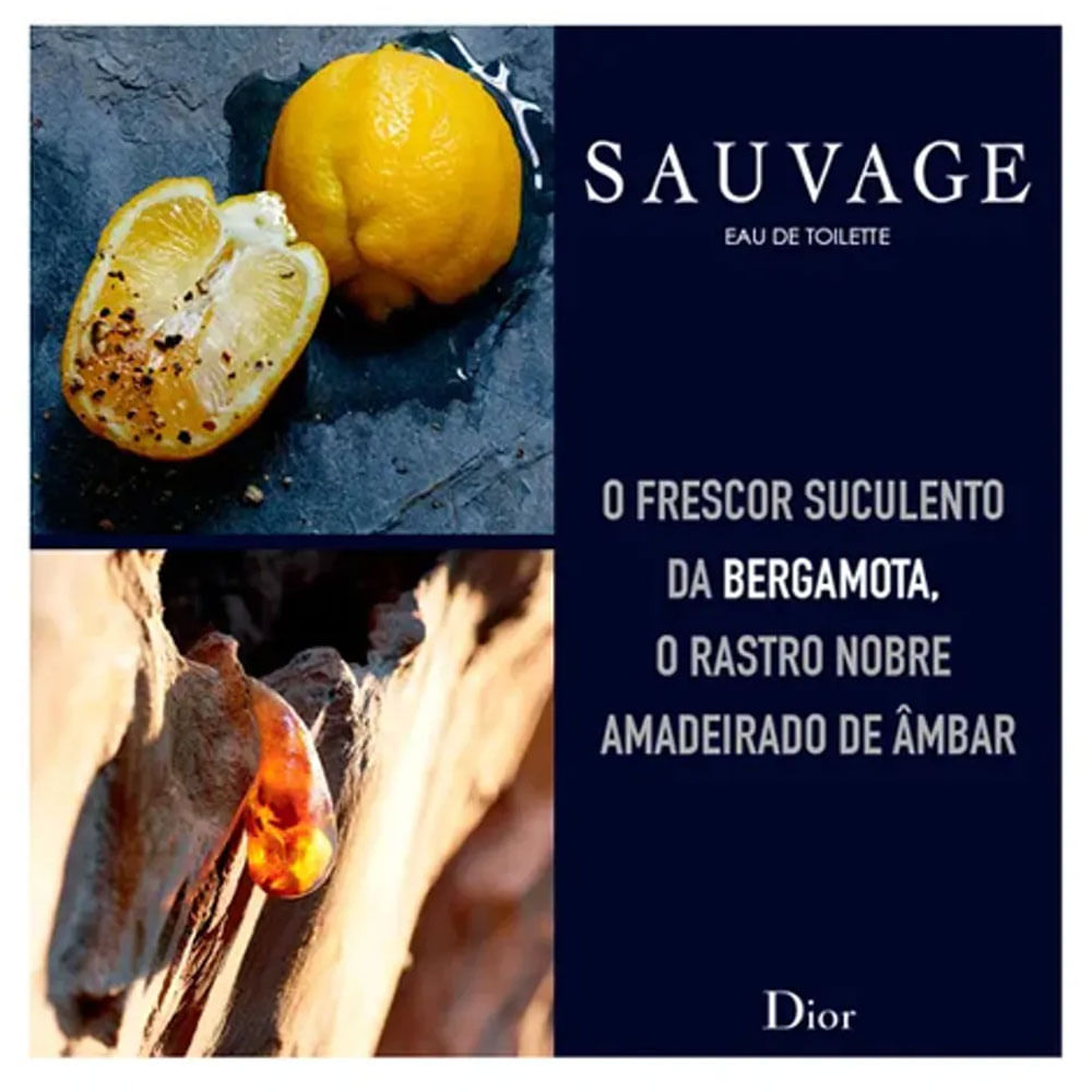 Miniatura Sauvage Dior - Perfume Masculino - Eau de Toilette 100ml