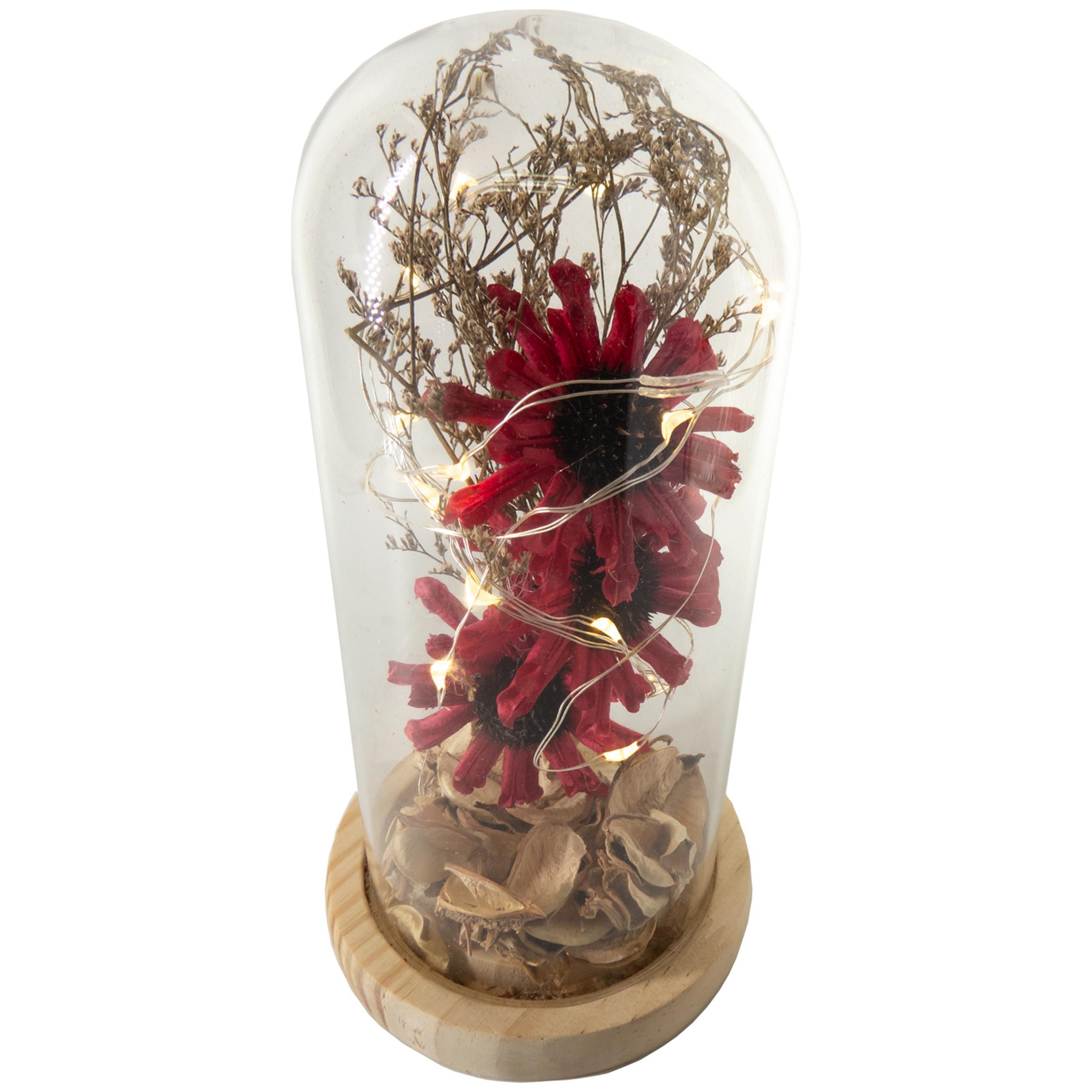 Miniatura Flores Encantadas Vermelha Com Cúpula De Vidro Bela E A Fera