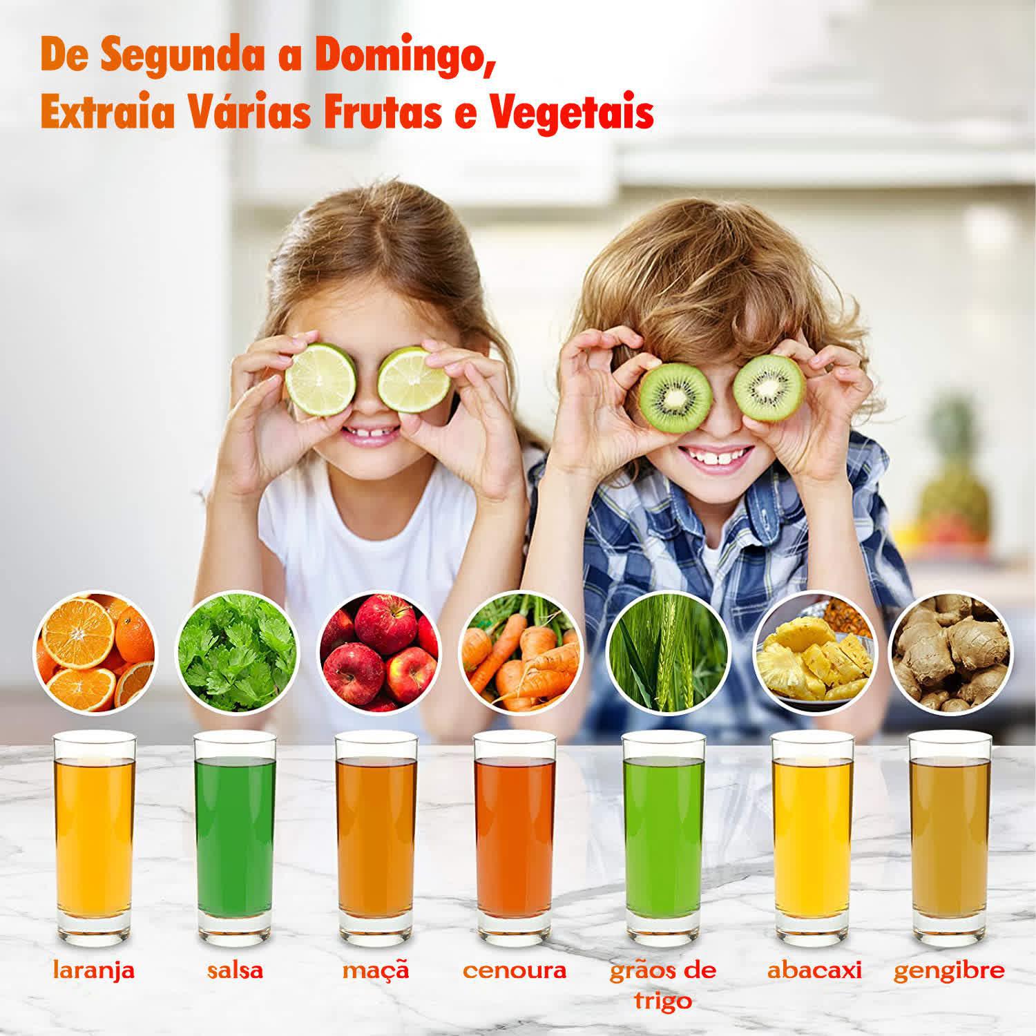 Slow Juicer Moedor Espremedor Extrator De Prensa A Frio 220V