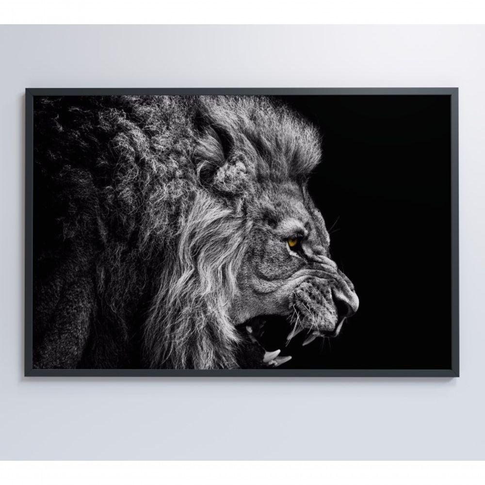 Quadro Leão Preto E Branco 60x40 Cm Adesivo Fotográfico