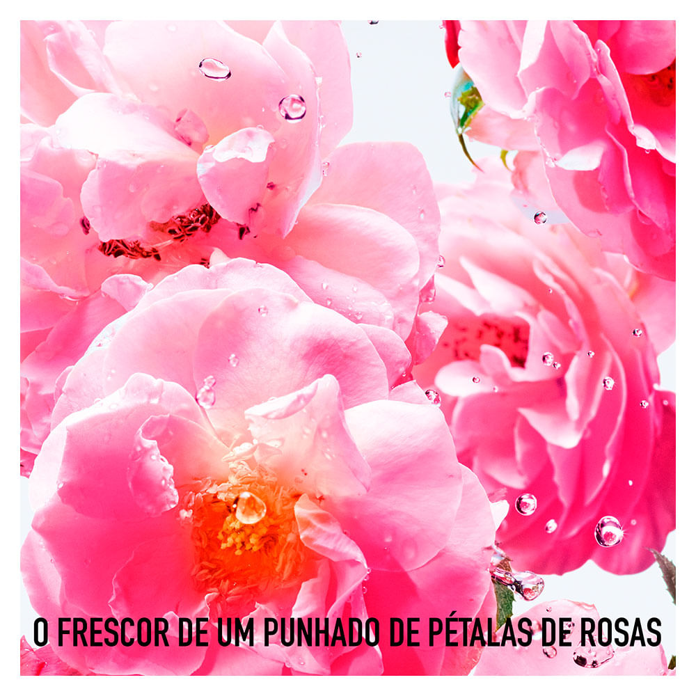 Miniatura Miss Dior Rose N’Roses Dior - Perfume Feminino - EDT 100ml