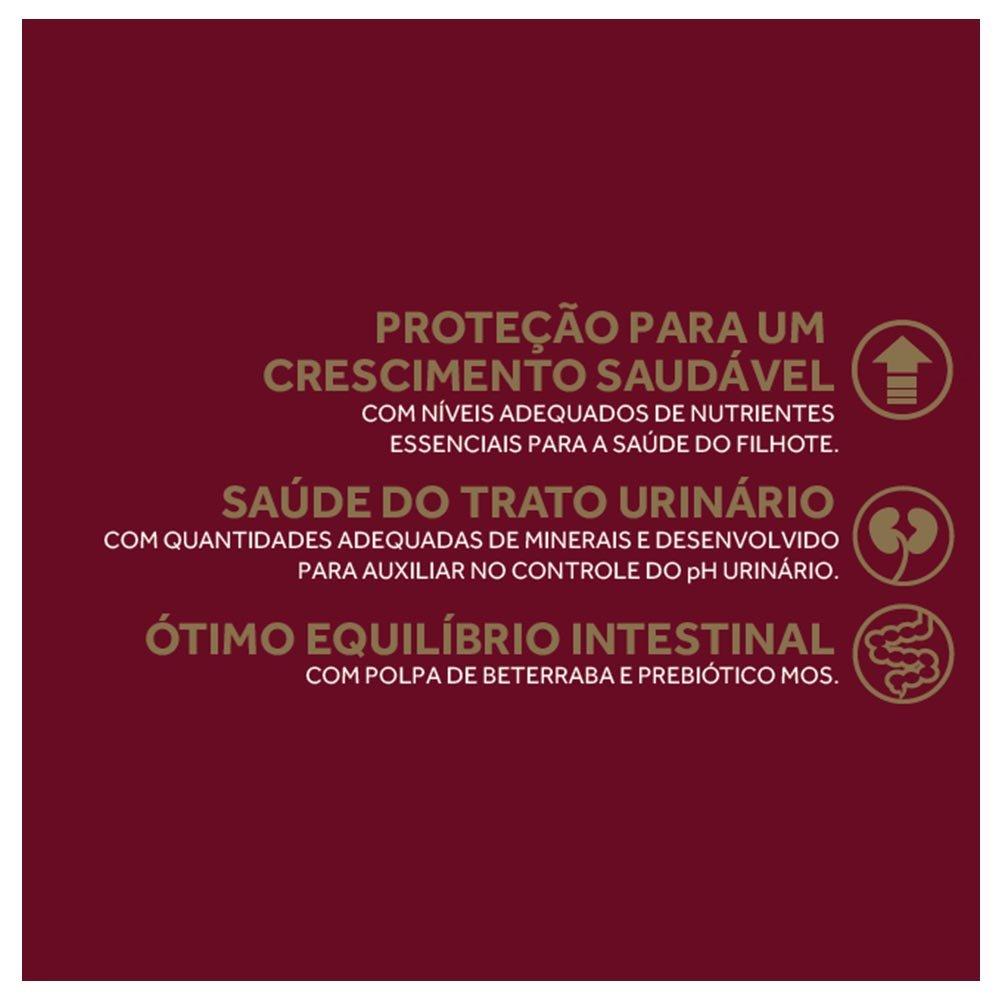 Miniatura Ração GranPlus Frango e Arroz para Gatos Filhotes - 10,1 Kg