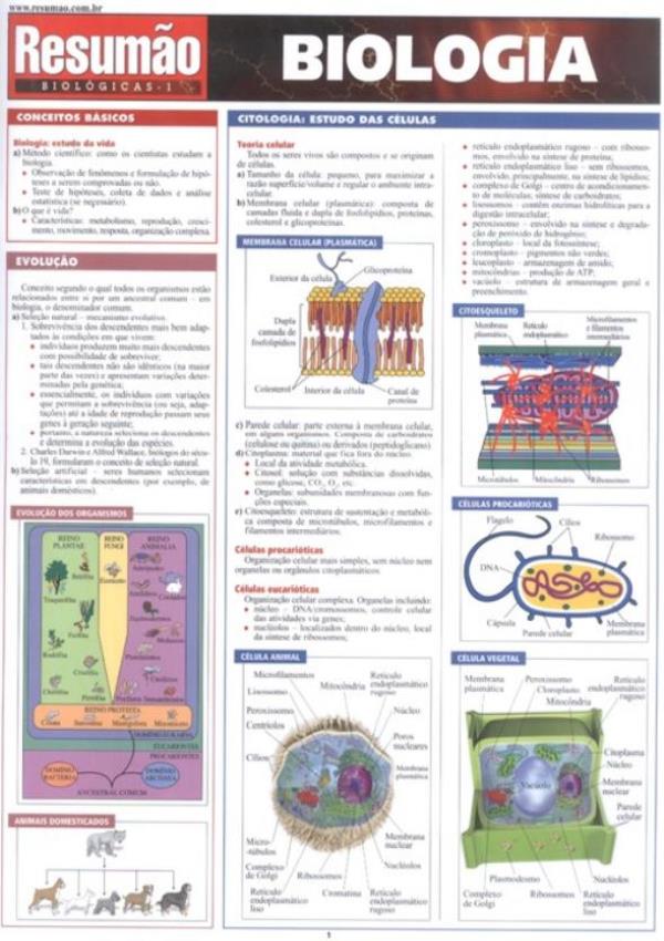 Miniatura Resumao - Biologia