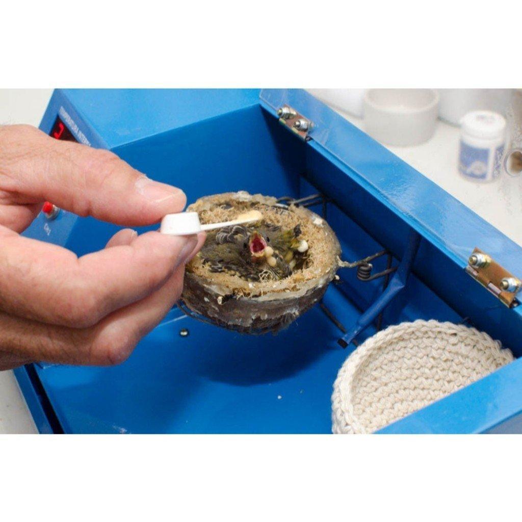 Miniatura Estufa Portatil Para Passaros E Aves Baby Bird Bivolt