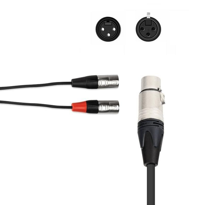 Miniatura Cabo Difusor Y Splitter Xlr Fêmea X Duplo Xlr Macho (50Cm)