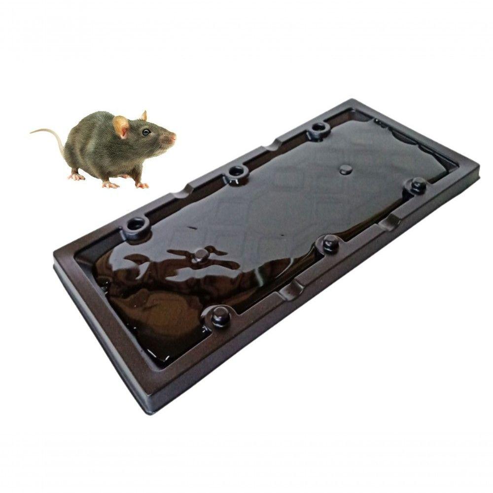 Miniatura Placa Cola Pega Rato