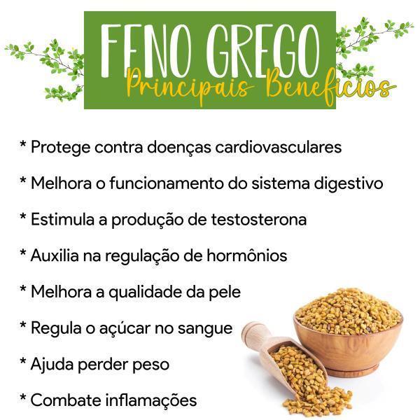 Miniatura Feno Grego Puro Cápsulas 300 Cáps 5 Potes