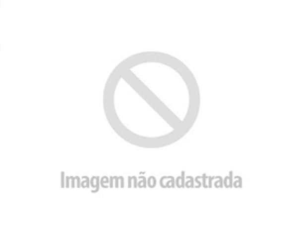 Miniatura Pilha Recarregavel Li-Polimero Aaa 1,5V 500Mah C/Usb Tipo-C