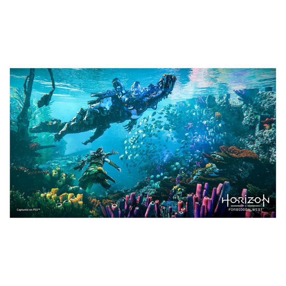 Horizon Forbidden West Collector's Edition - PS4 e PS5